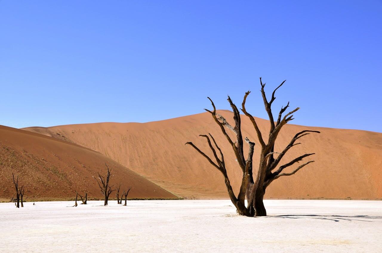 Namib Desert