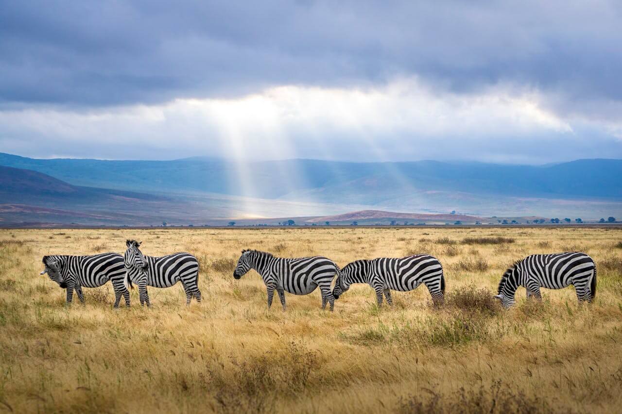 Serengeti National Park