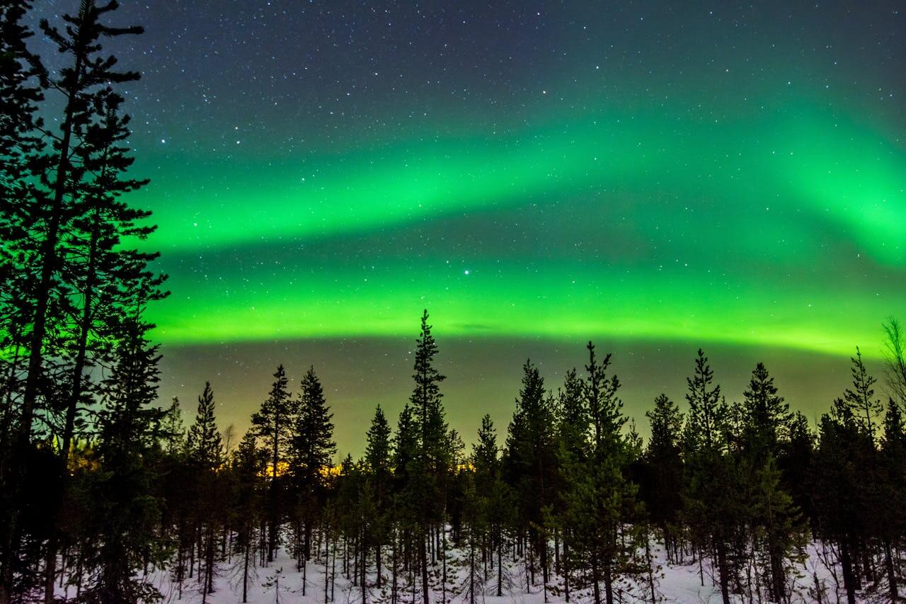Northern Lights